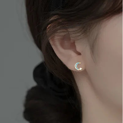 Moon & Star Zircon 925 Sterling Silver Stud Earrings